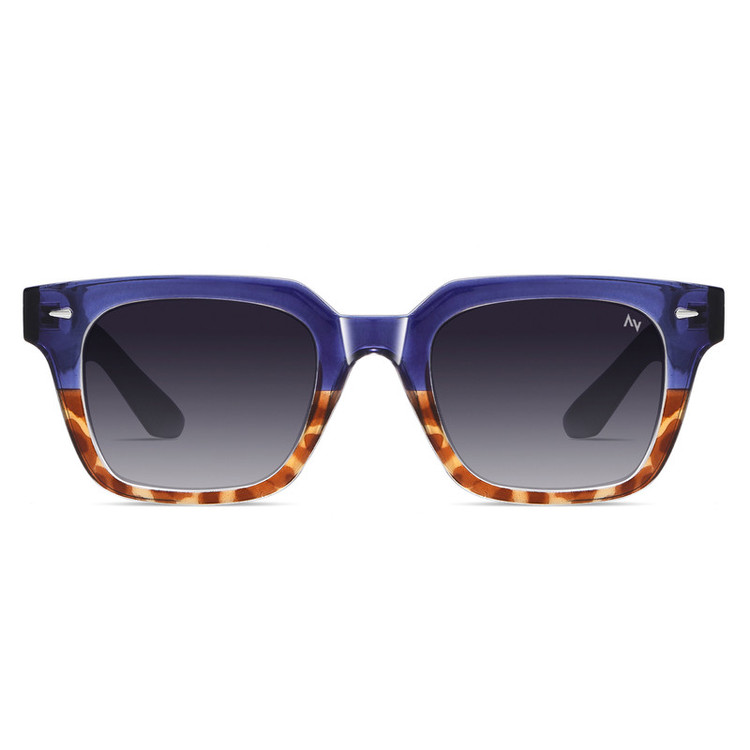 عینک آفتابی ویفرر (Wayfarer) آلبرت وگ مدل S31105-C4 Polarized Avantgarde Visionary