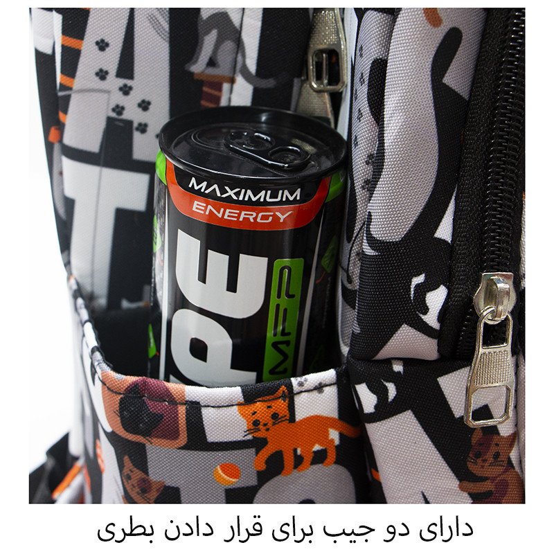 کوله پشتی پسرانه توریث مدل WW-150003